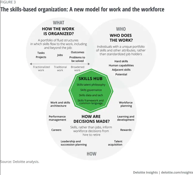SKILLS HUB - New model for work and workforce