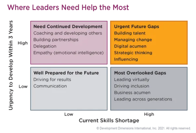 The Leadership Skills Gap of the Future